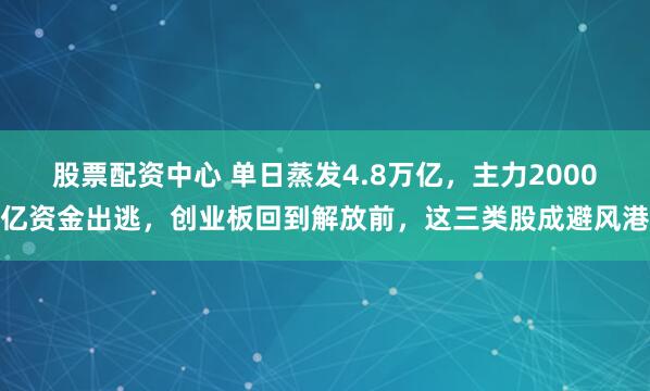 股票配资中心 单日蒸发4.8万亿，主力2000亿资金出逃，创业板回到解放前，这三类股成避风港
