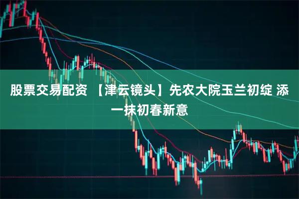 股票交易配资 【津云镜头】先农大院玉兰初绽 添一抹初春新意